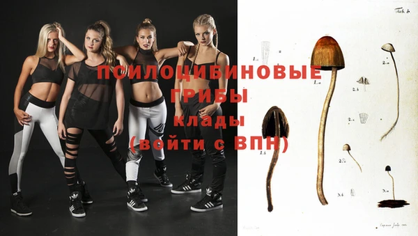 дмт Армянск