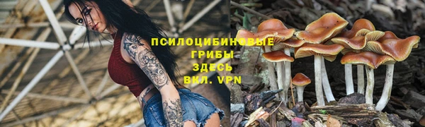 дмт Армянск