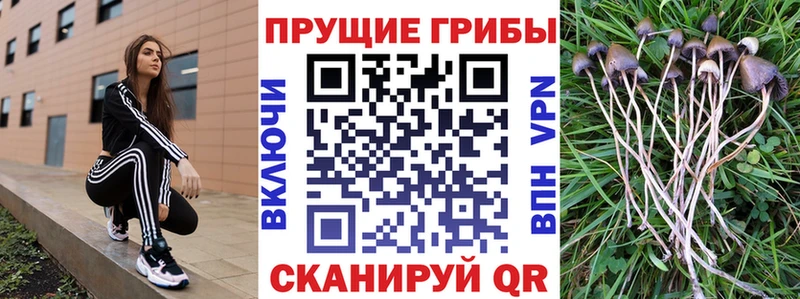 Псилоцибиновые грибы ЛСД  Киреевск 